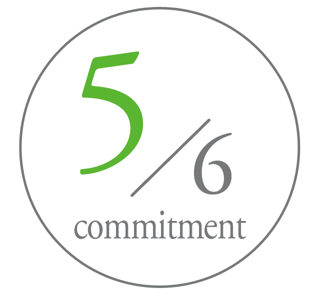 1/6-values-